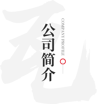0033990威尼斯简介