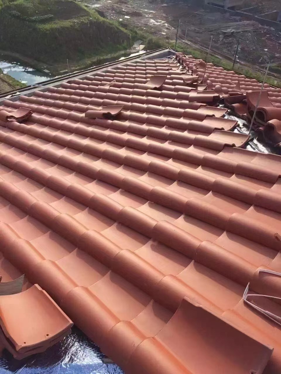 0033990威尼斯摘要2023第17期