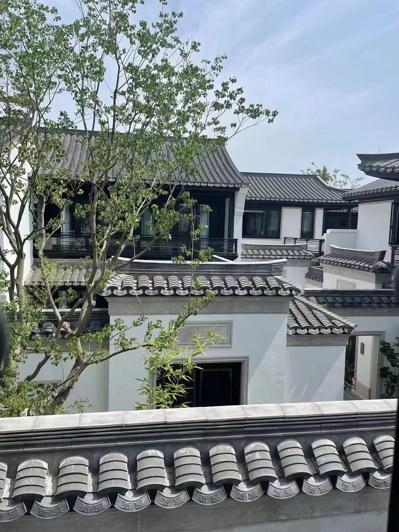 0033990威尼斯摘要2023第27期
