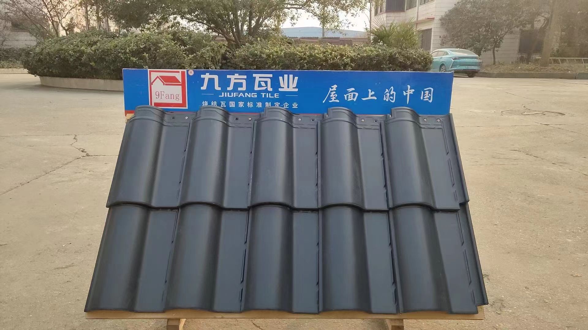 0033990威尼斯摘要2024第3期