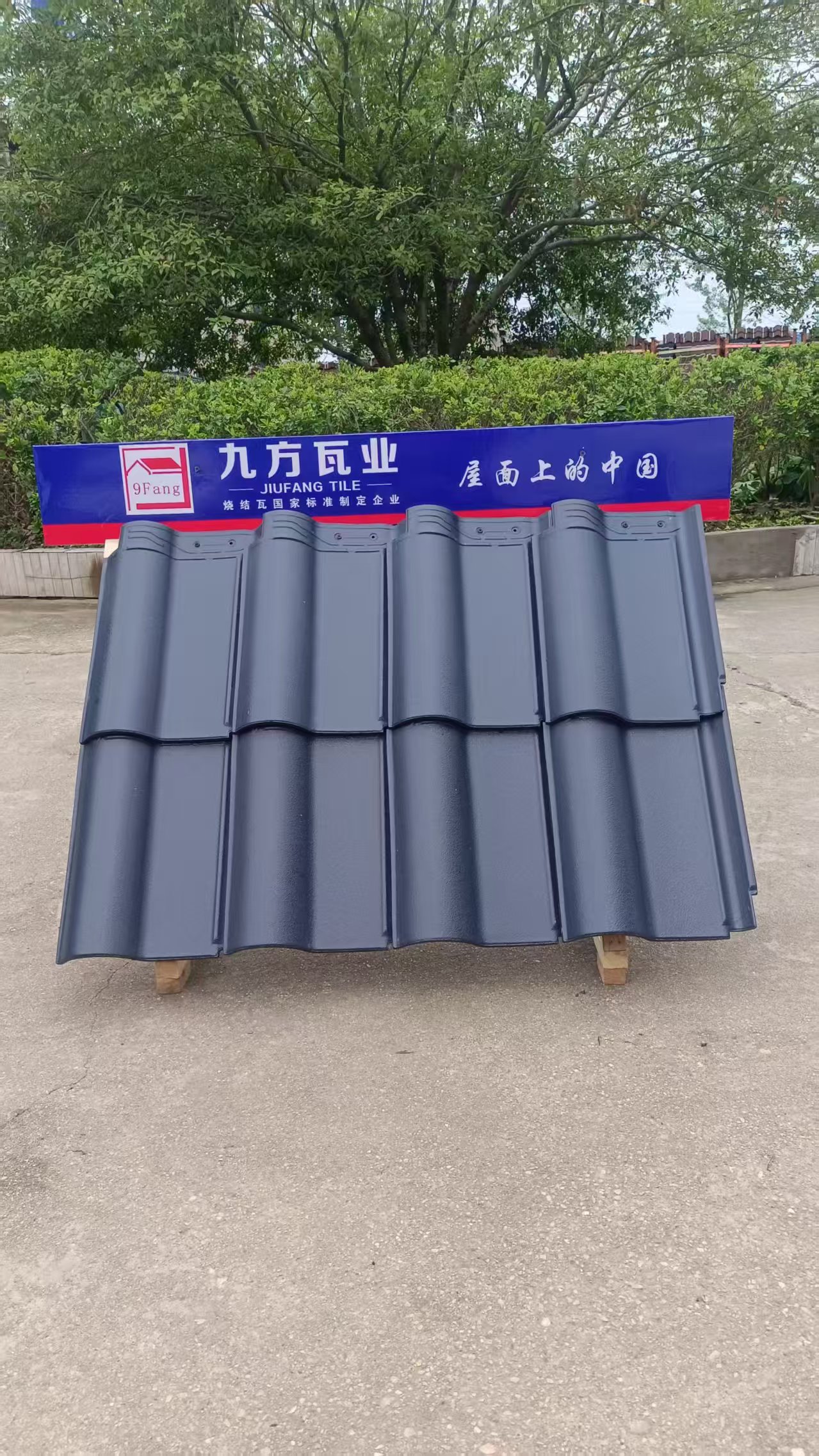 0033990威尼斯摘要2025第16期